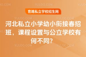 河北私立小学幼小衔接春招班,课程设置与公立学校有何不同?