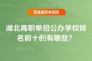 ������ְ���й���ѧУ����ǰʮ������Щ��