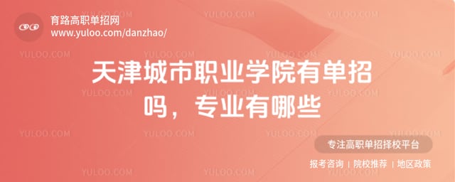 天津城市职业学院有单招吗