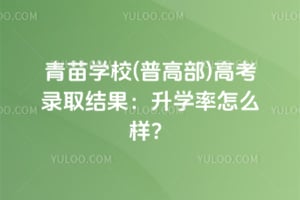 2026年青苗学校(普高部)高考录取结果：升学率怎么样？