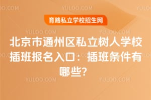 北京市通州区私立树人学校插班报名入口：2026年插班条件有哪些？