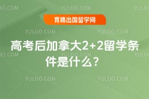 2026��߿�����ô�2+2��ѧ������ʲô��