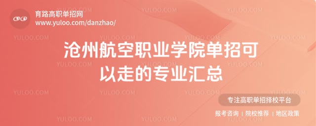 沧州航空职业学院单招可以走的专业