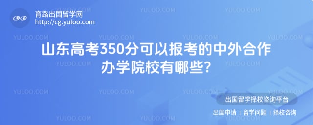 山东高考成绩350分可以选择哪些中外合作办学院校