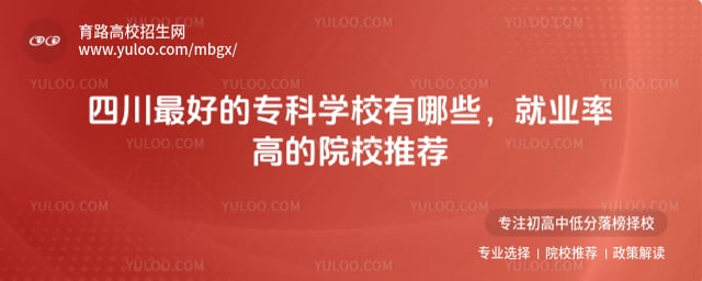 �Ĵ���õ�ר��ѧУ����Щ