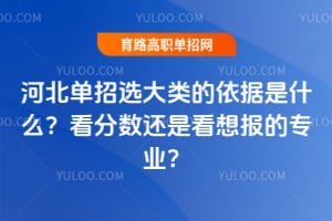 河北单招选大类的依据是什么?看分数还是看想报的专业?
