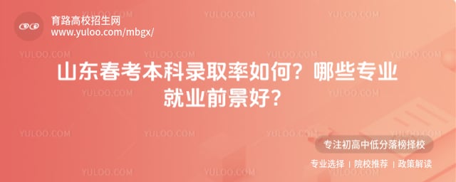 山东春考本科录取率