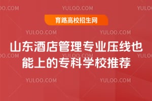 ɽ���Ƶ����רҵѹ��Ҳ���ϵ�ר��ѧУ�Ƽ�