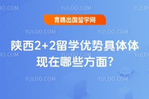 ����2+2��ѧ���ƾ�����������Щ����?