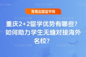 ����2+2��ѧ��������Щ���������ѧ���޷�ԽӺ�����У��