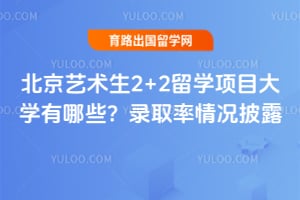 ����������2+2��ѧ��Ŀ��ѧ����Щ��2026��¼ȡ�������¶