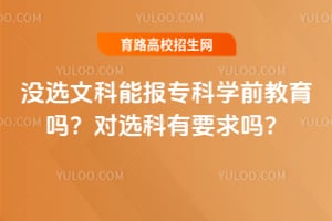 ûѡ�Ŀ��ܱ�ר��ѧǰ�����𣿶�ѡ����Ҫ����