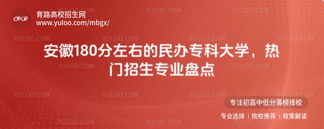 安徽180分左右的民办专科大学