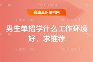 ��������ѧʲô���������ã����Ƽ�