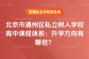 北京市通州区私立树人学校高中课程体系：升学方向有哪些？