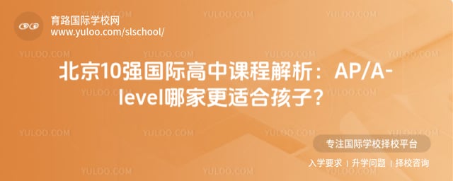 ����10ǿ���ʸ���