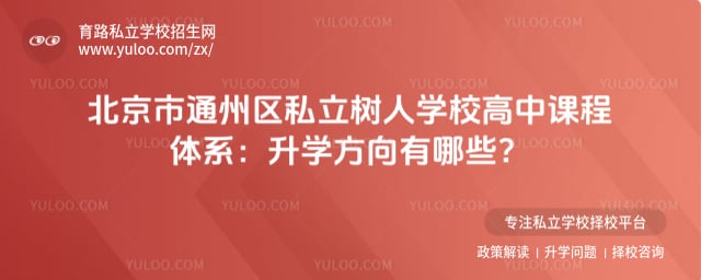 北京市通州区私立树人学校高中课程体系