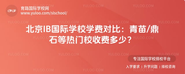 ib国际学校学费