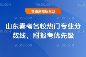 2026ɽ��������У����רҵ�����ߣ����������ȼ�