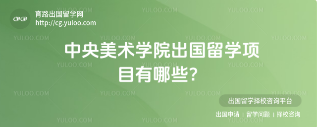 中央美术学院出国留学项目
