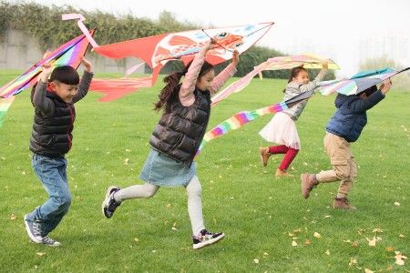 北京日日新学堂插班报名入口