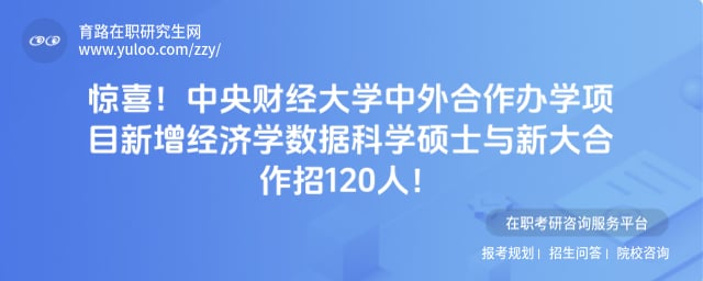 中央财经大学中外合作办学项目新增经济学数据科学硕士