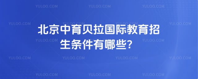 �����������ʽ�����������