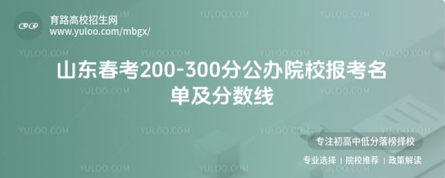 山东春考200-300分公办院校报考