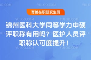 ����ҽ�ƴ�ѧͬ��ѧ����˶��ְ��������2026ҽ����Ա��ְ���Ͽɶ�������