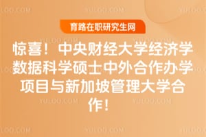 惊喜!中央财经大学经济学数据科学硕士中外合作办学项目与新加坡管理大学合作!