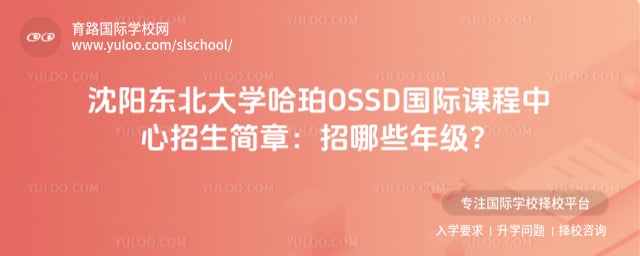 ������ѧ����OSSD���ʿγ�������������