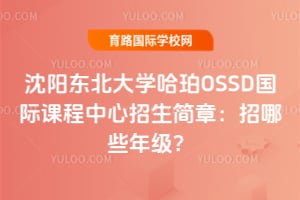 2026����������ѧ����OSSD���ʿγ������������£�����Щ�꼶��