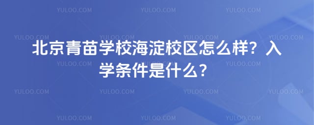 青苗学校海淀校区怎么样