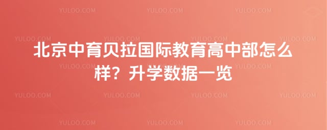 �����������ʽ������в���ô��