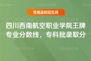 四川西南航空职业学院王牌专业分数线,专科批录取分