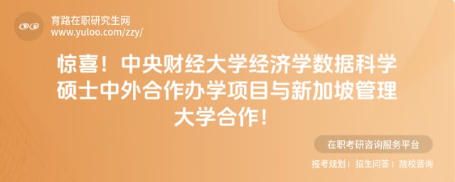中央财经大学经济学数据科学硕士中外合作办学项目