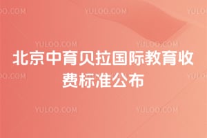 ���������������ʽ���2026���շѱ�׼����