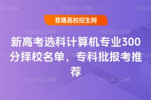 新高考选科计算机专业300分择校名单,专科批报考推荐