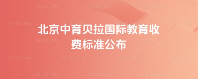 �����������ʽ����շѱ�׼