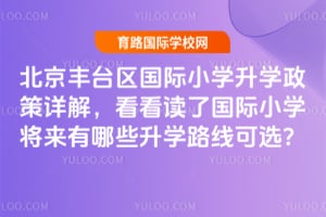 2026������̨������Сѧ��ѧ������⣬�������˹���Сѧ��������Щ��ѧ·�߿�ѡ��