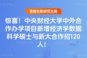 惊喜!中央财经大学中外合作办学项目新增经济学数据科学硕士与新大合作招120人!