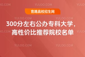 2026��300�����ҹ���ר�ƴ�ѧ�����Լ۱��Ƽ�ԺУ����