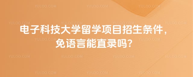 2026年电子科技大学留学项目招生条件