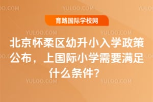 2026�걱������������С��ѧ���߹������Ϲ���Сѧ��Ҫ����ʲô������