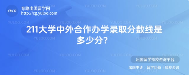 211大学中外合作办学录取分数线