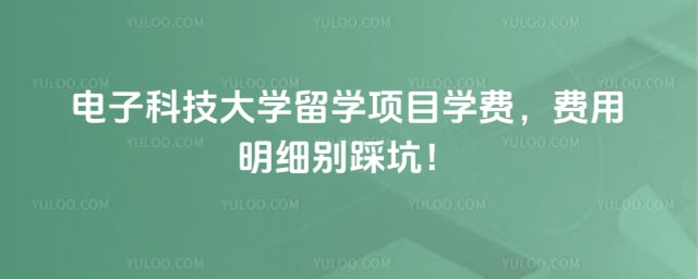 电子科技大学留学项目学费
