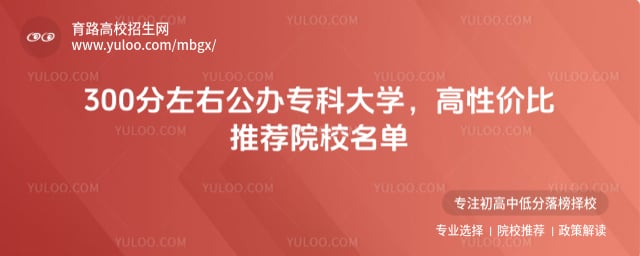 300�����ҹ���ר�ƴ�ѧ