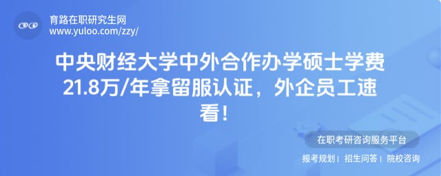 中央财经大学中外合作办学硕士学费