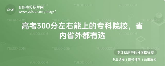 高考300分左右能上的学校