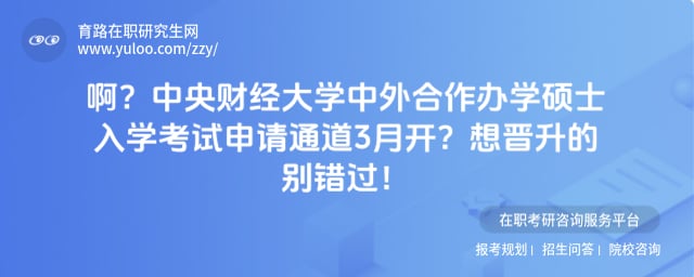 中央财经大学中外合作办学硕士入学考试